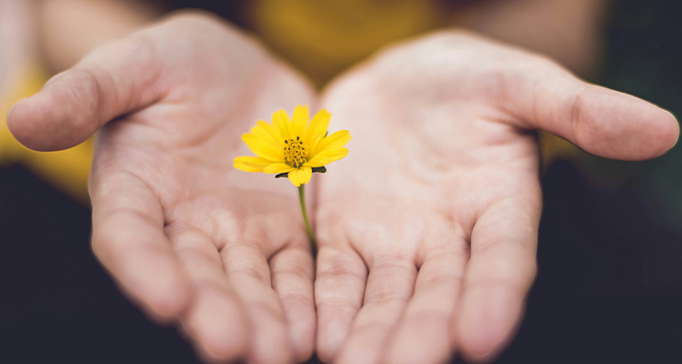 Pois agora vou fazer uma coisa nova, que logo vai acontecer, e, de repente, vocês a verão. Prepararei um caminho no deserto e farei com que estradas passem em terras secas."